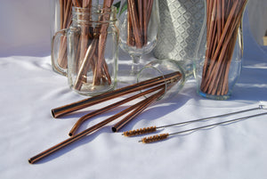 Reusable Stainless Steel Straws