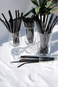 Reusable Stainless Steel Straws