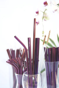 Reusable Stainless Steel Straws