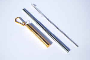 Collapsible Stainless Steel Straws